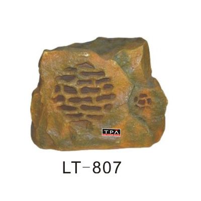 LT-807